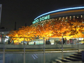 2008.11.14 アジアシリーズ　紅葉の東京ドーム